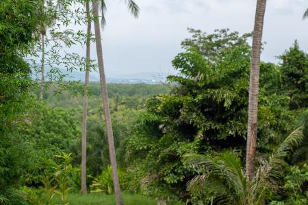 Luxury Studio Vila with Private Pool on Exclusive Maphrao Island-4