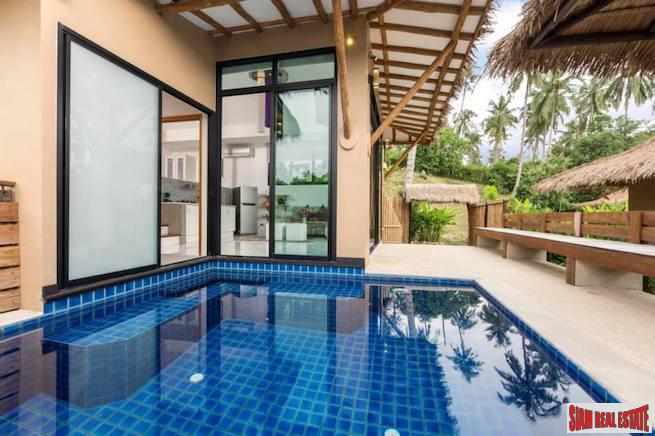 Beautiful Coconut Island One Bedroom Pool Villa for Sale